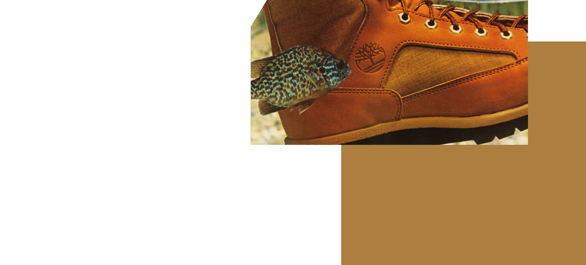 https://publictimberlandmx.blob.core.windows.net/files/landing-cinealogia/desktop/cen_item10b.png
